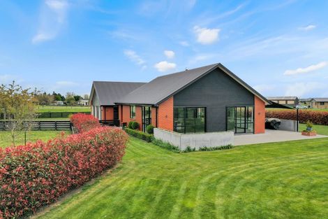 Photo of property in 29 Murneys Lane, Huntingdon, Ashburton, 7774