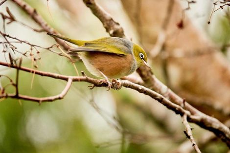 Photo of property in 34 Ngahere Street, Stokes Valley, Lower Hutt, 5019