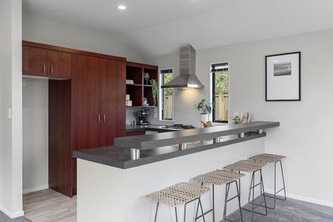 Photo of property in 19 Beechwood Drive, Northwood, Christchurch, 8051