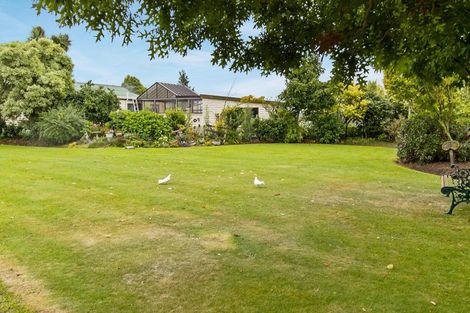 Photo of property in 7 Hillview Place, Pleasant Point, 7903