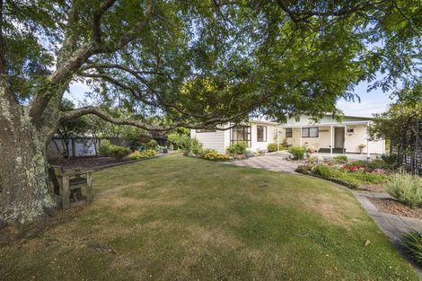 Photo of property in 12 Freyberg Street, Feilding, 4702