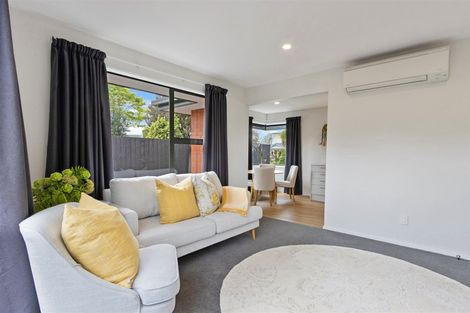 Photo of property in 101 Petrie Street, Richmond, Christchurch, 8013