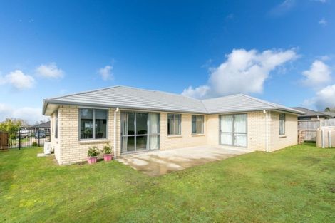 Photo of property in 22 Patatee Terrace, Baverstock, Hamilton, 3200