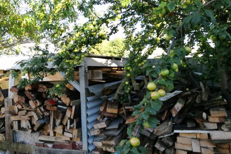 Photo of property in 20 Lyndhurst Street, Takaro, Palmerston North, 4412