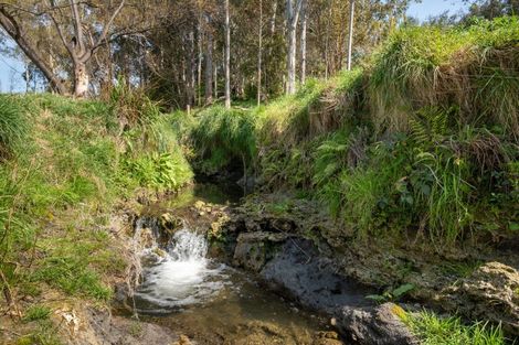 Photo of property in 24 Aintree Road, Havelock North, 4130