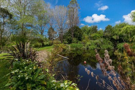 Photo of property in 52 Robinson Road, Coatesville, 0793