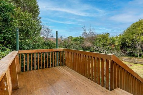Photo of property in 45 Leven Street, Roslyn, Dunedin, 9010