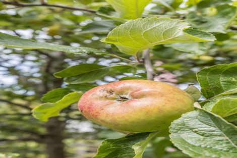 Photo of property in 173 Grant Road, Thorndon, Wellington, 6011