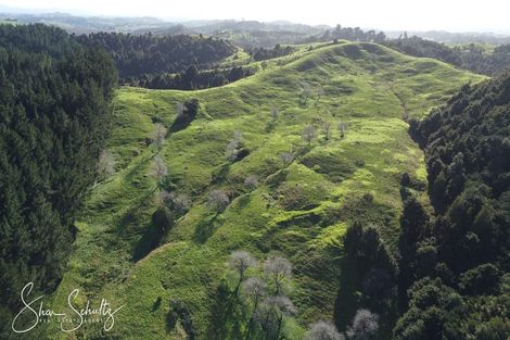 Photo of property in 171 Arcadia Road, Paparoa, 0571