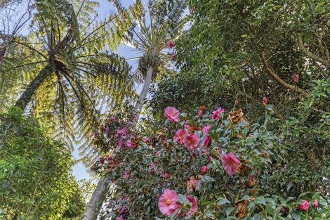 Photo of property in 20 Frankley Road, Westown, New Plymouth, 4310