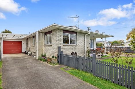 Photo of property in 8 Baden Street, Levin, 5510
