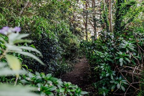 Photo of property in 49 Gordon Place, Levin, 5510