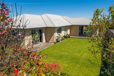 Photo of property in 17 Joyce Place, Richmond, 7020