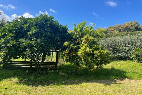 Photo of property in 313 Youngson Road, Whakamarama, Tauranga, 3179