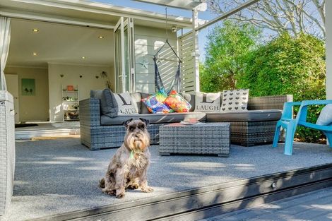 Photo of property in 16 Kanawa Street, Waikanae, 5036