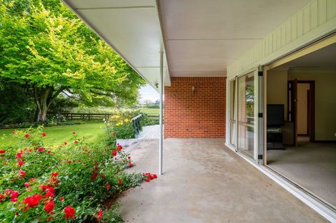 Photo of property in 119 Ringer Road, Tauwhare, Hamilton, 3287