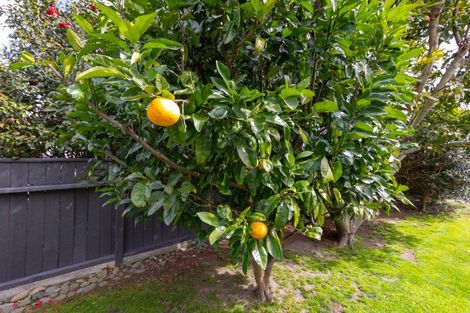 Photo of property in 50 South Street, Feilding, 4702