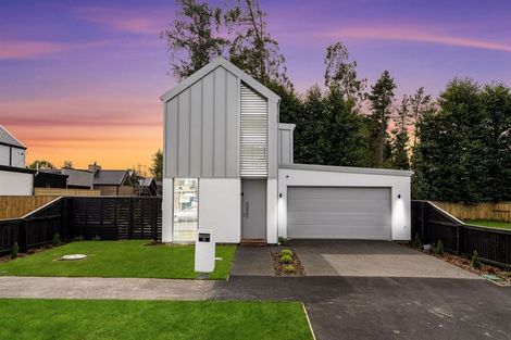 Photo of property in 36 Collies Road, Casebrook, 8051