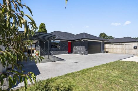 Photo of property in 8 Tangaroa Street, Waitara, 4320