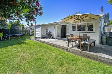 Photo of property in 815 Churchill Street, Akina, Hastings, 4122