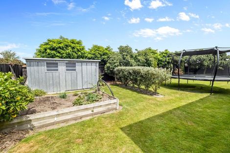 Photo of property in 20 Magnolia Drive, Netherby, Ashburton, 7700