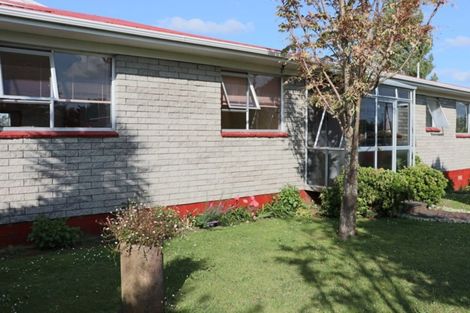 Photo of property in 31 Wrigley Street, Waihi, 3610
