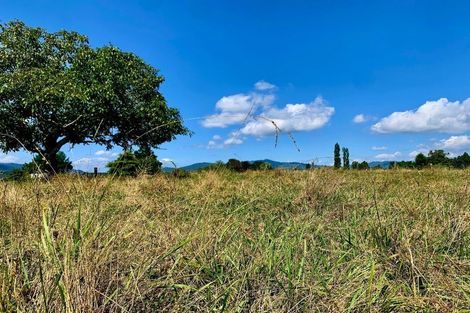 Photo of property in 19 Lerwick Lane, Nukuhou, 3196