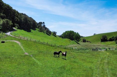 Photo of property in 92 Withy Road, Manawahe, Whakatane, 3193