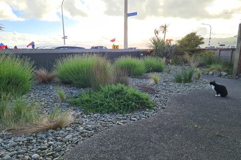 Photo of property in 227 The Esplanade, Petone, Lower Hutt, 5012