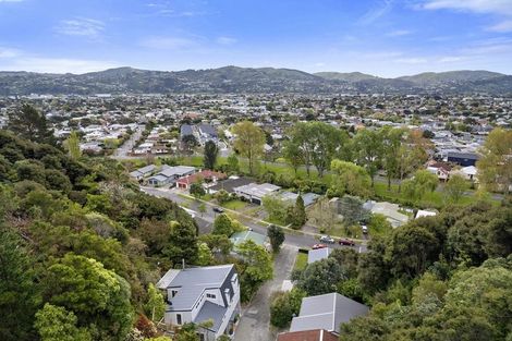 Photo of property in 43 Cleary Street, Waterloo, Lower Hutt, 5011