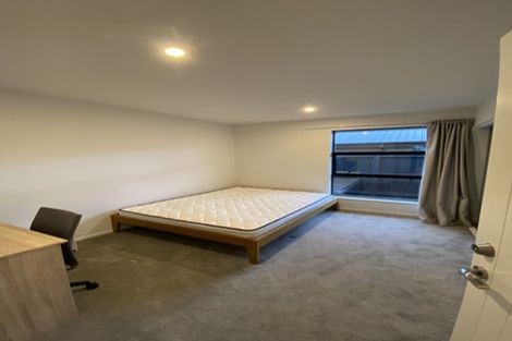 Photo of property in 53 Anaru Road, Lincoln, 7608