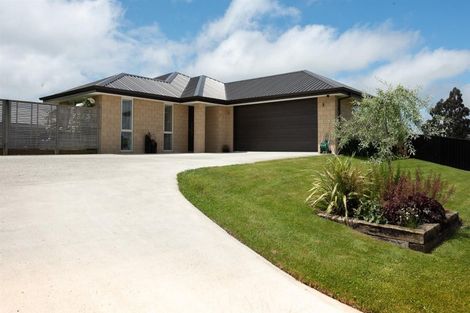 Photo of property in 7 Eric Batchelor Place, Waimate, 7924