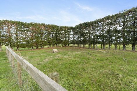 Photo of property in 91 Omanuka Road, Himatangi, Foxton, 4891