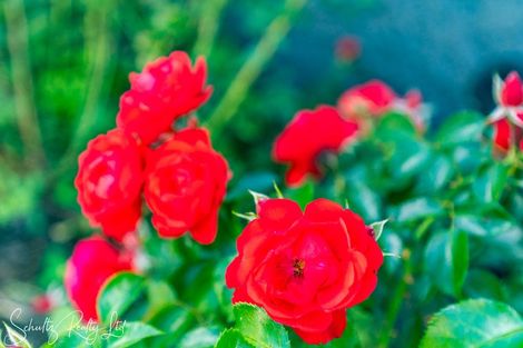 Photo of property in 20 Bickerstaffe Road, Maungaturoto, 0520