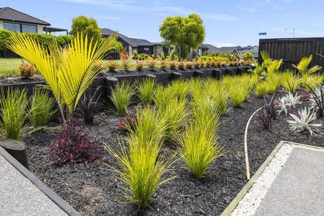 Photo of property in 9 Kahawai Place, Omokoroa, 3114