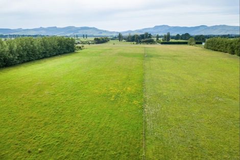 Photo of property in 287 Jarvis Road, Motukarara, Christchurch, 7674