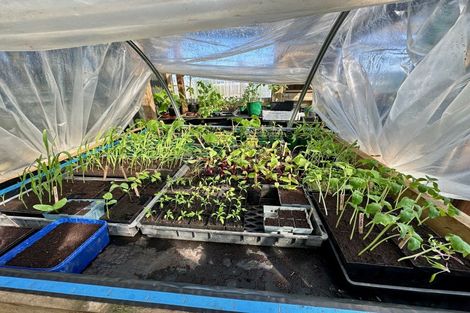 Photo of property in 91a Oparara Road, Karamea, 7893