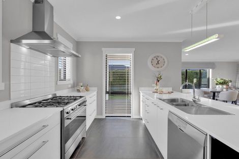 Photo of property in 6 Audrey Place, Flagstaff, Hamilton, 3210