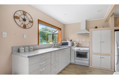 Photo of property in 19 Arrow Street, Naseby, 9396