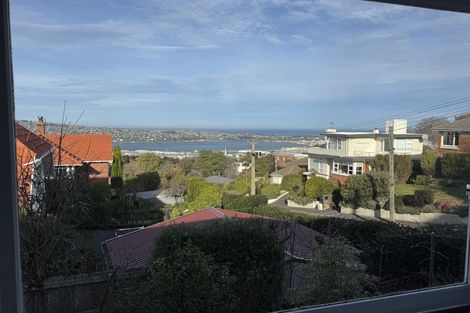 Photo of property in 8a Merlin Street, Roslyn, Dunedin, 9010