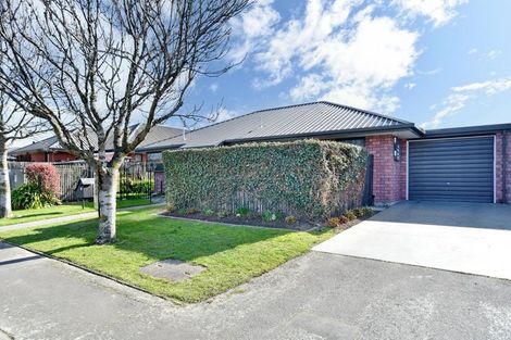 Photo of property in 8b Kingsbury Avenue, Rangiora, 7400