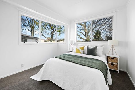 Photo of property in 38 Tongariro Street, Chartwell, Hamilton, 3210