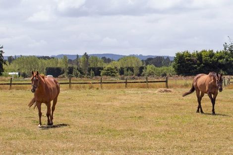 Photo of property in 263 Lehmans Road, Fernside, Rangiora, 7471