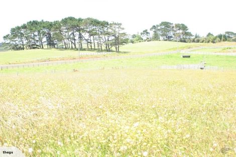 Photo of property in 204 Honey Road, Otaua, Waiuku, 2683