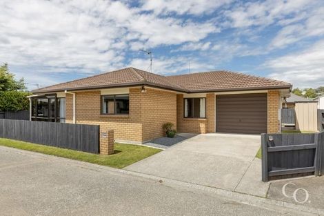 Photo of property in 37 Solomon Street, Brookfield, Tauranga, 3110