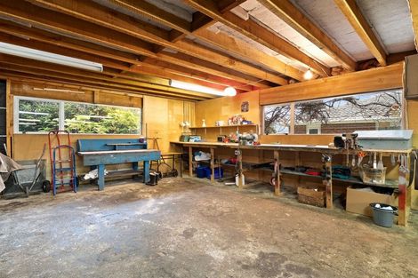 Photo of property in 16 Mcgregor Street, Opoho, Dunedin, 9010