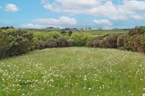 Photo of property in 17 Ranganui Road, Kaiwaka, 0573