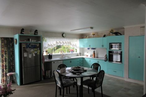 Photo of property in 91 Mcleavey Road, Ohau, Levin, 5570