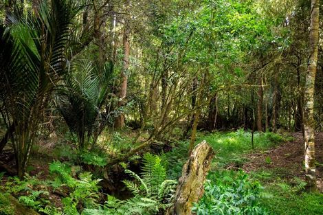 Photo of property in 136 Knight Road, Ruatangata West, Whangarei, 0176