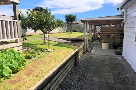 Photo of property in 91 Centennial Avenue, Waitara, 4320